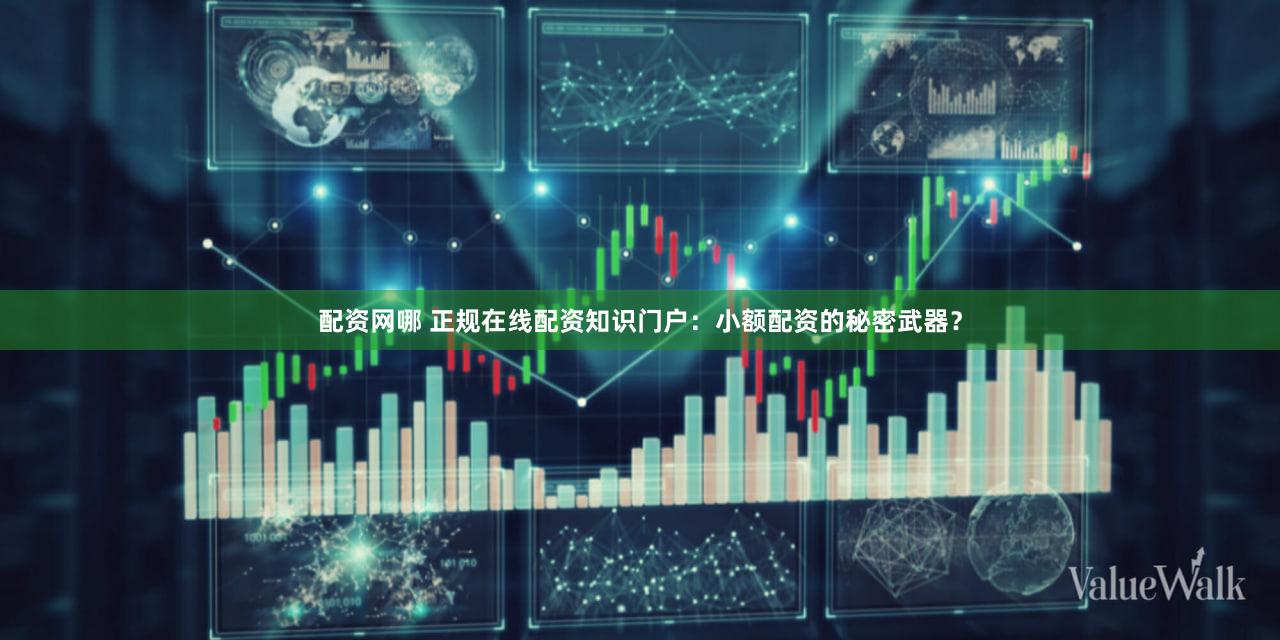 配资网哪 正规在线配资知识门户：小额配资的秘密武器？