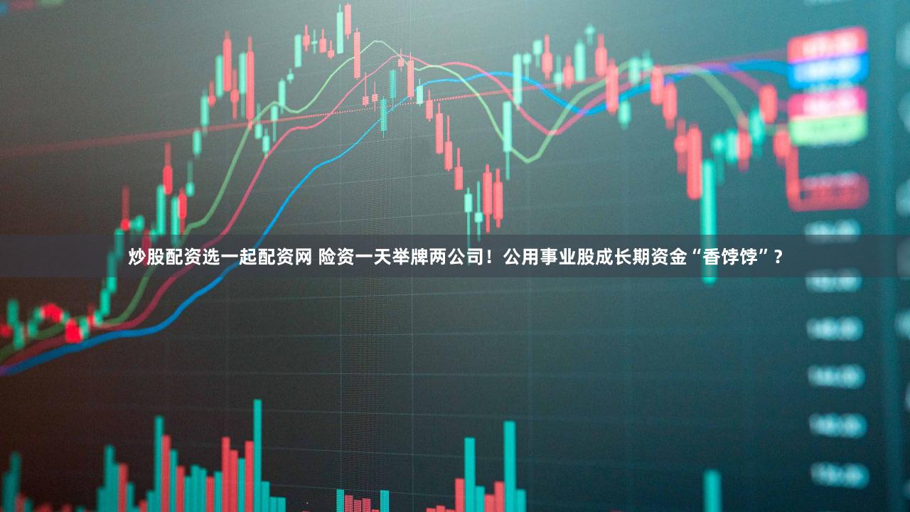 炒股配资选一起配资网 险资一天举牌两公司！公用事业股成长期资金“香饽饽”？