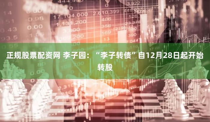 正规股票配资网 李子园：“李子转债”自12月28日起开始转股