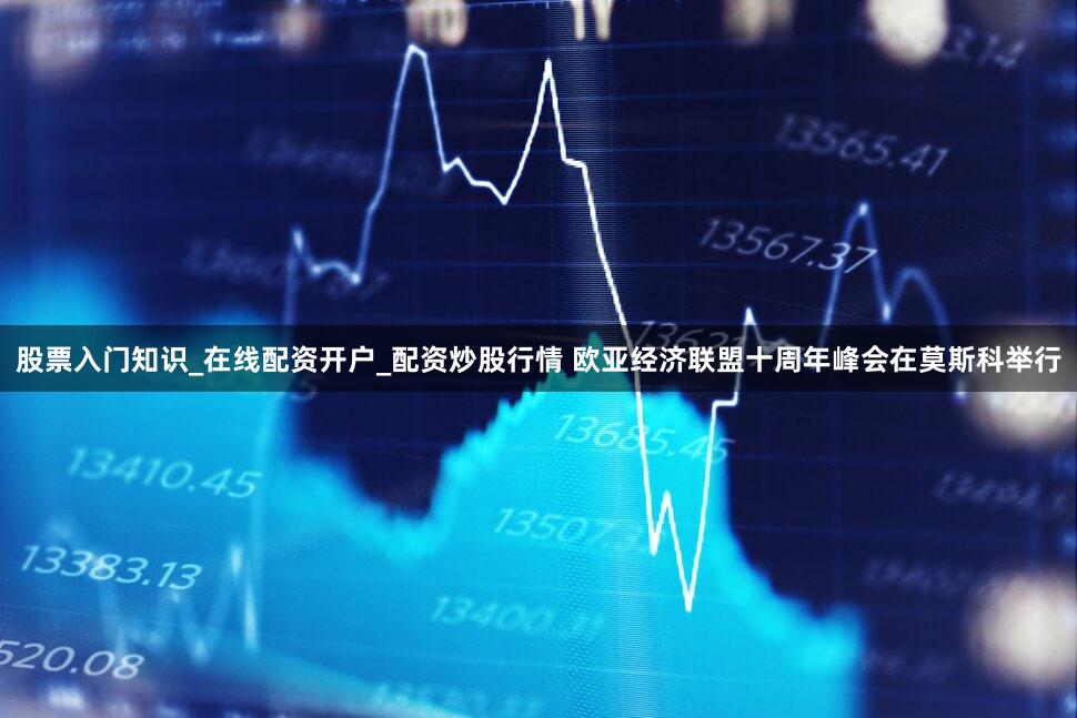 股票入门知识_在线配资开户_配资炒股行情 欧亚经济联盟十周年峰会在莫斯科举行