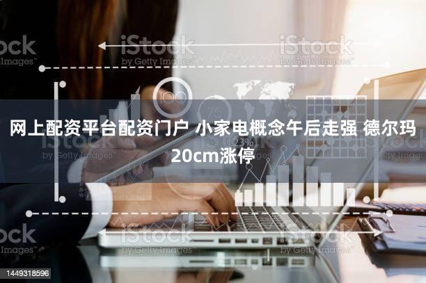 网上配资平台配资门户 小家电概念午后走强 德尔玛20cm涨停