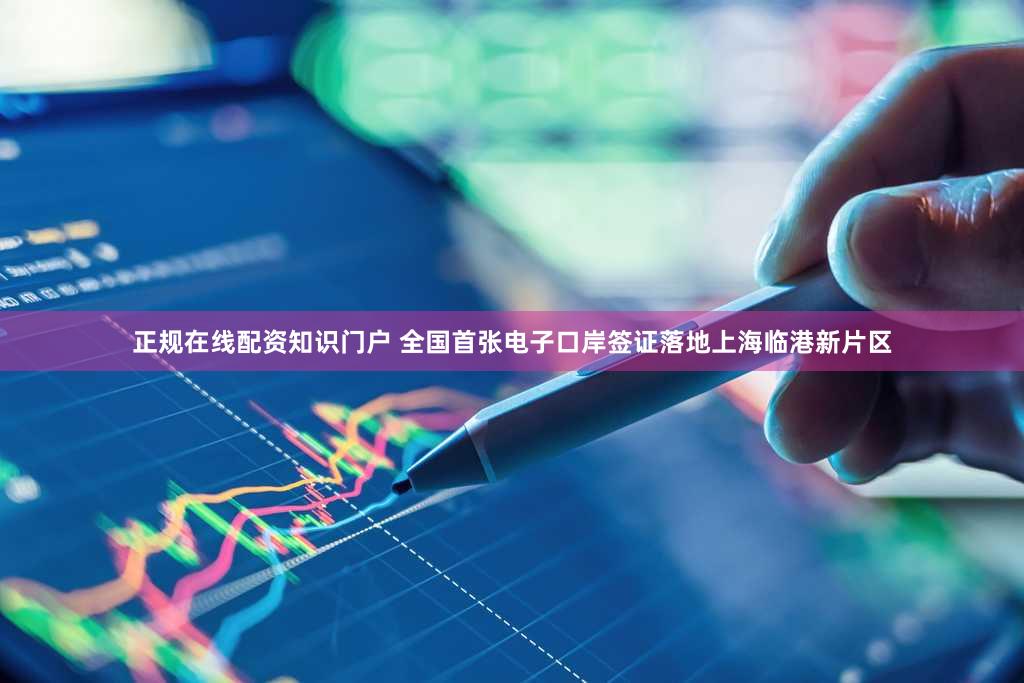 正规在线配资知识门户 全国首张电子口岸签证落地上海临港新片区