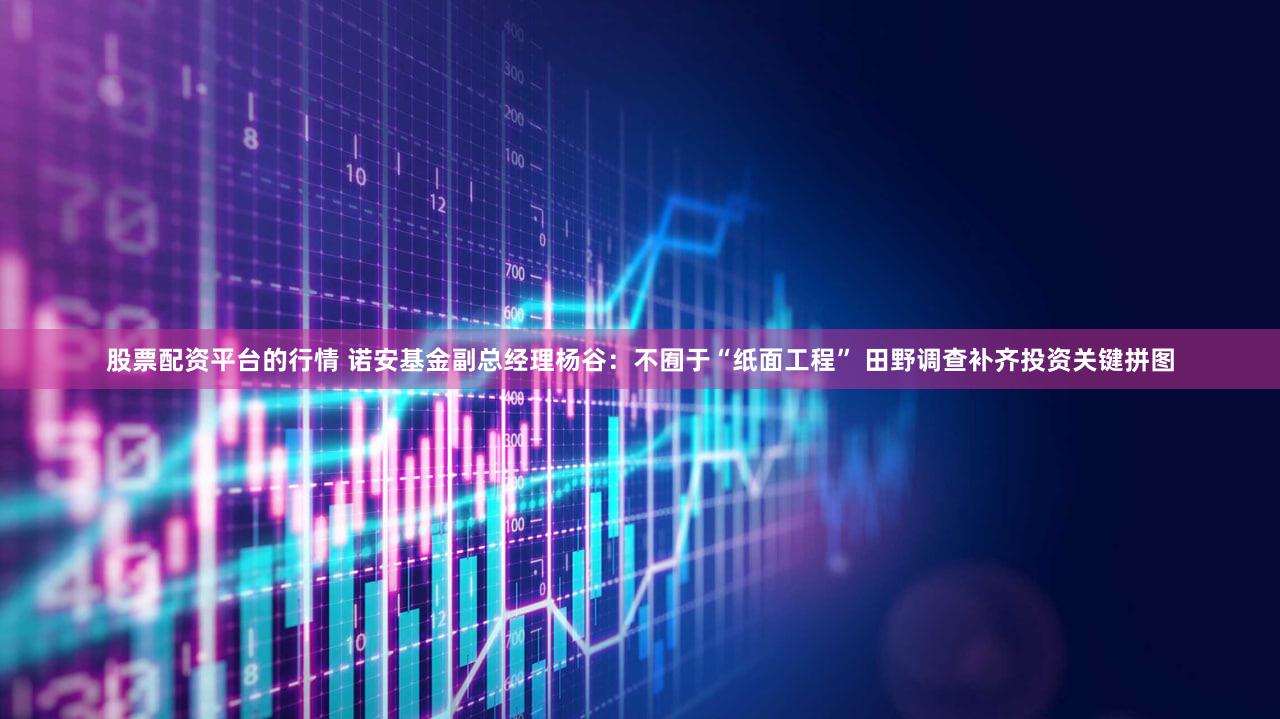 股票配资平台的行情 诺安基金副总经理杨谷：不囿于“纸面工程” 田野调查补齐投资关键拼图