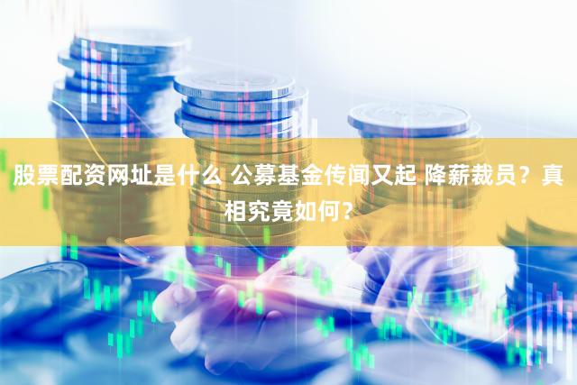 股票配资网址是什么 公募基金传闻又起 降薪裁员？真相究竟如何？