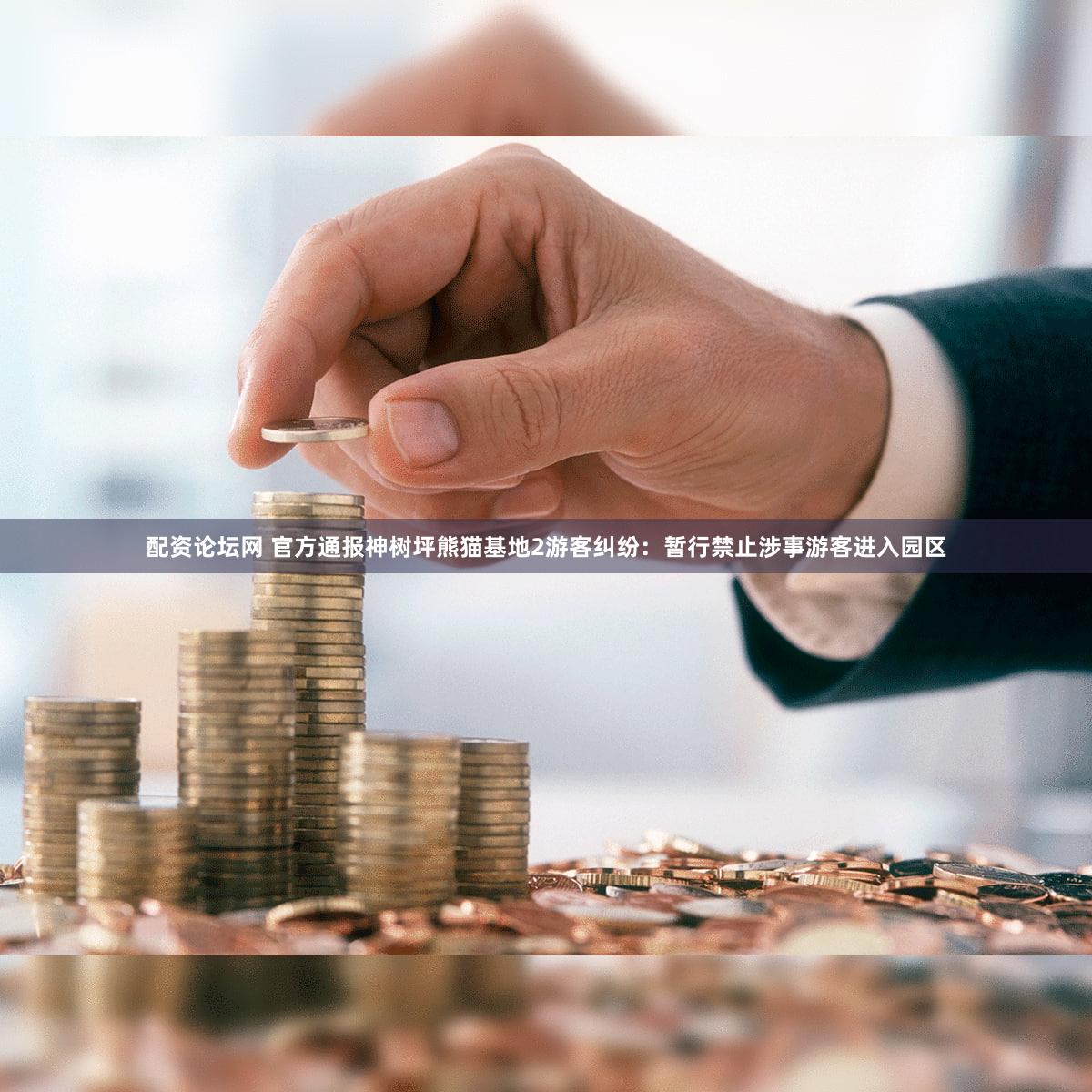 配资论坛网 官方通报神树坪熊猫基地2游客纠纷：暂行禁止涉事游客进入园区