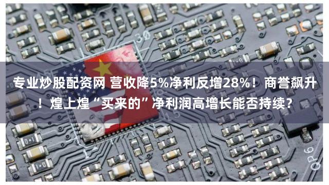 专业炒股配资网 营收降5%净利反增28%！商誉飙升！煌上煌“买来的”净利润高增长能否持续？