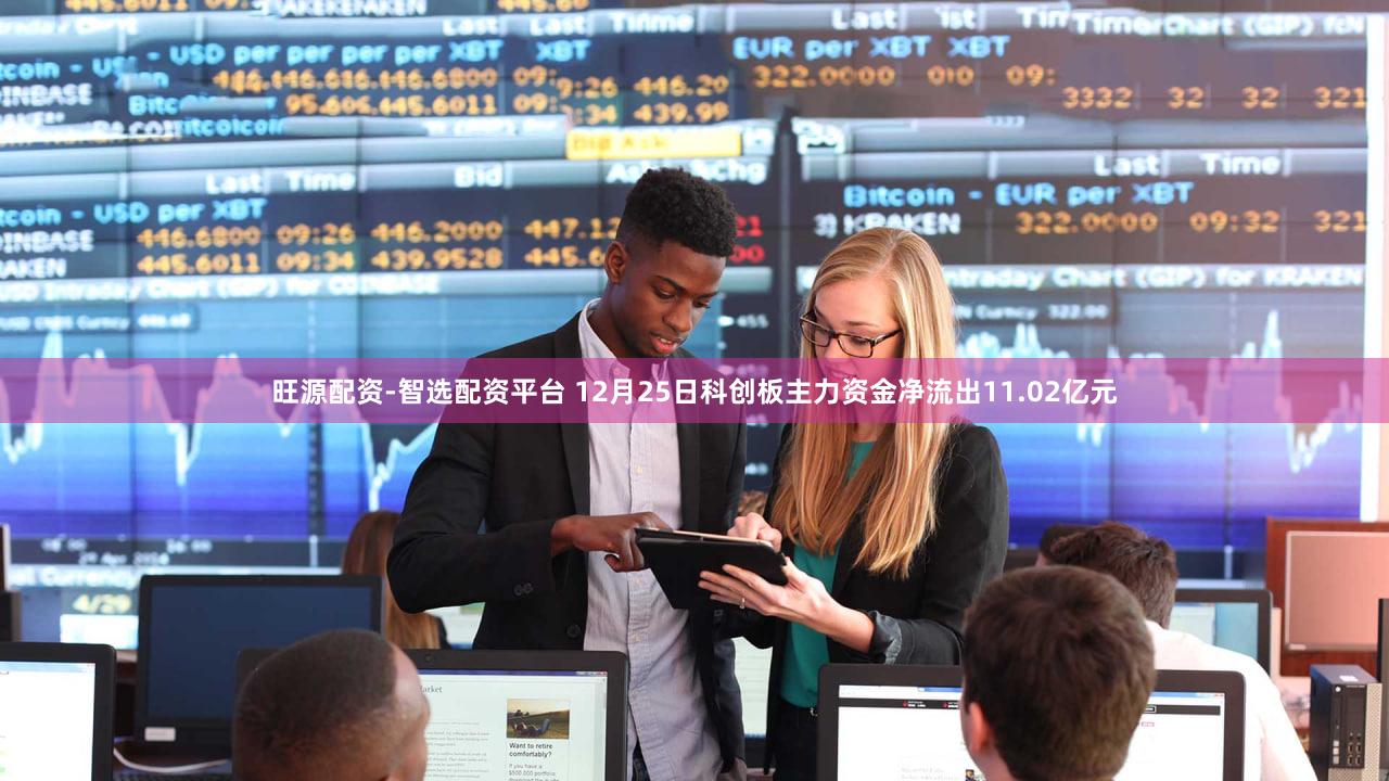 旺源配资-智选配资平台 12月25日科创板主力资金净流出11.02亿元