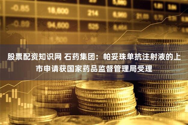 股票配资知识网 石药集团：帕妥珠单抗注射液的上市申请获国家药品监督管理局受理