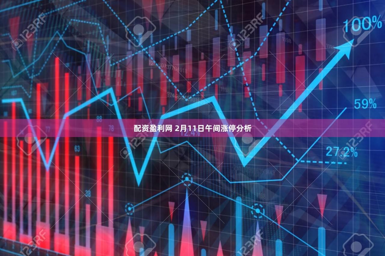 配资盈利网 2月11日午间涨停分析