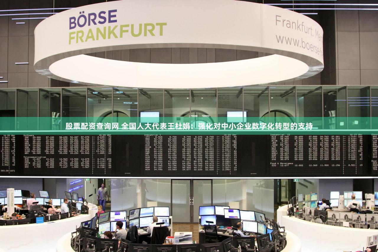 股票配资查询网 全国人大代表王杜娟：强化对中小企业数字化转型的支持
