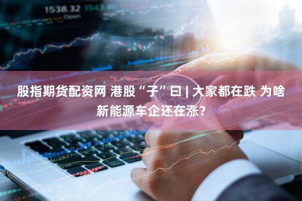 股指期货配资网 港股“子”曰 | 大家都在跌 为啥新能源车企还在涨？